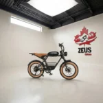 Samebike M20 Fat Tire Retro Ebike