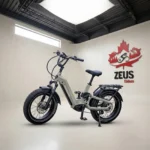 Himiway D5 2.0 20"