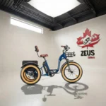 Addmotor Grandtan II 750W 2024 Off Road Electric Trike