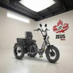 Meet One Tour 2.0 Dual-Motor AWD Semi-Recumbent Electric Trike