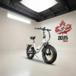 Samebike LOTDM200-II