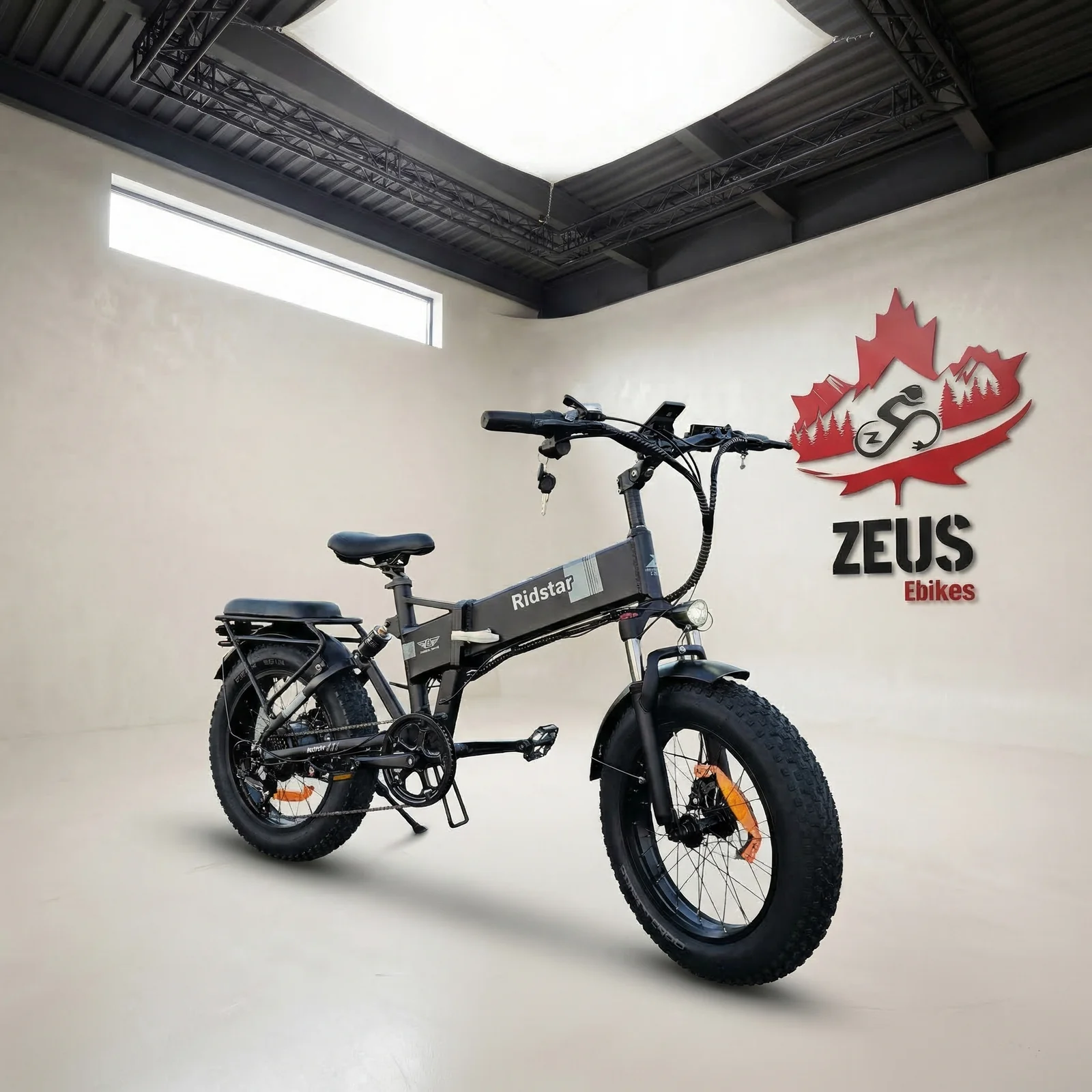 1773537056385-g3e77n Ridstar H20 1000W Fat Tire Folding Ebike - Image 1