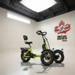 Addmotor SpytanX Reverse eTrike