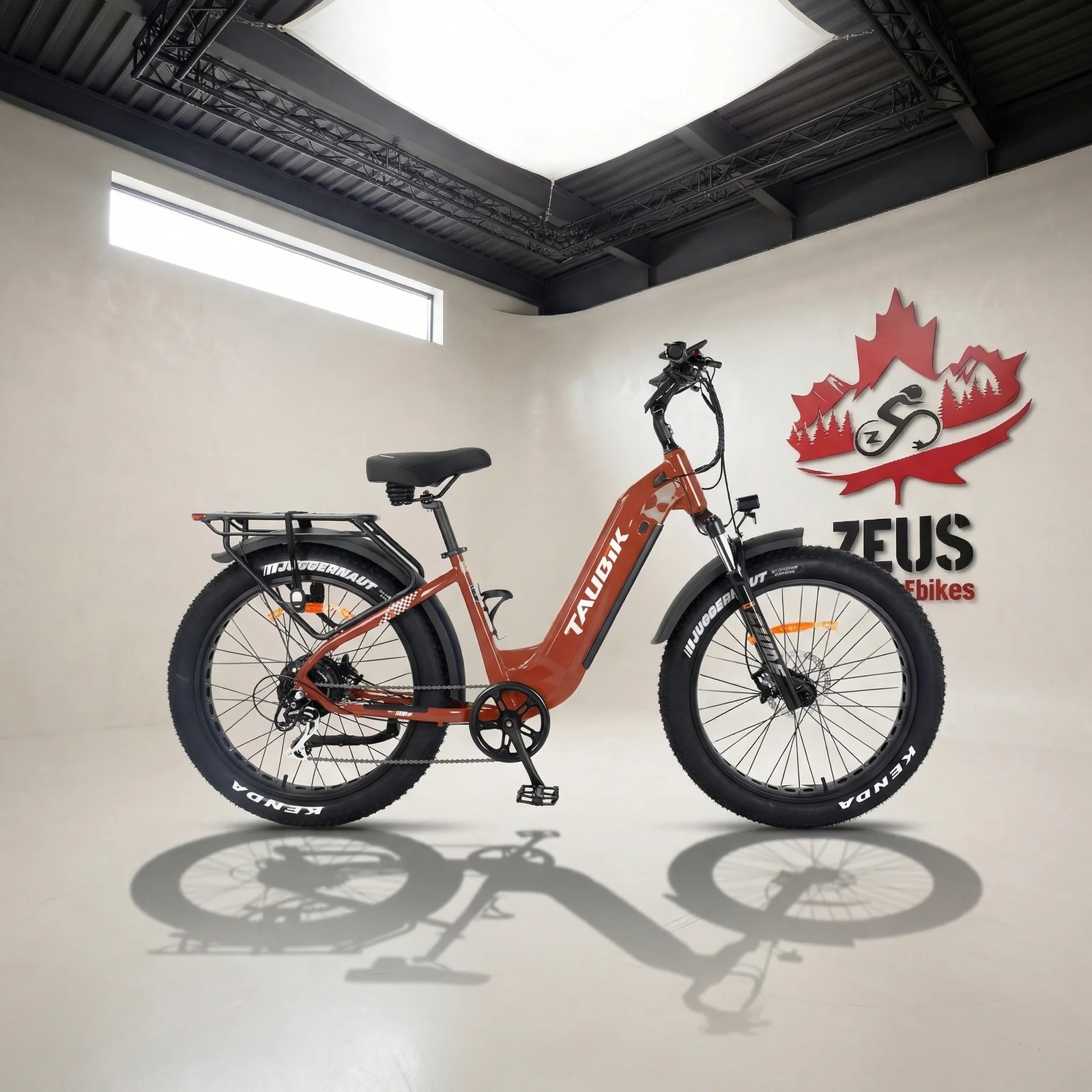 1773981119683-jdd79h (1) Taubik Tour Step-Through Fat Tire eBike - Image 1
