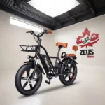 Ridstar FM001 20" 2-Seater Fat Tire Electric Bike — 1000W, 720 Wh
